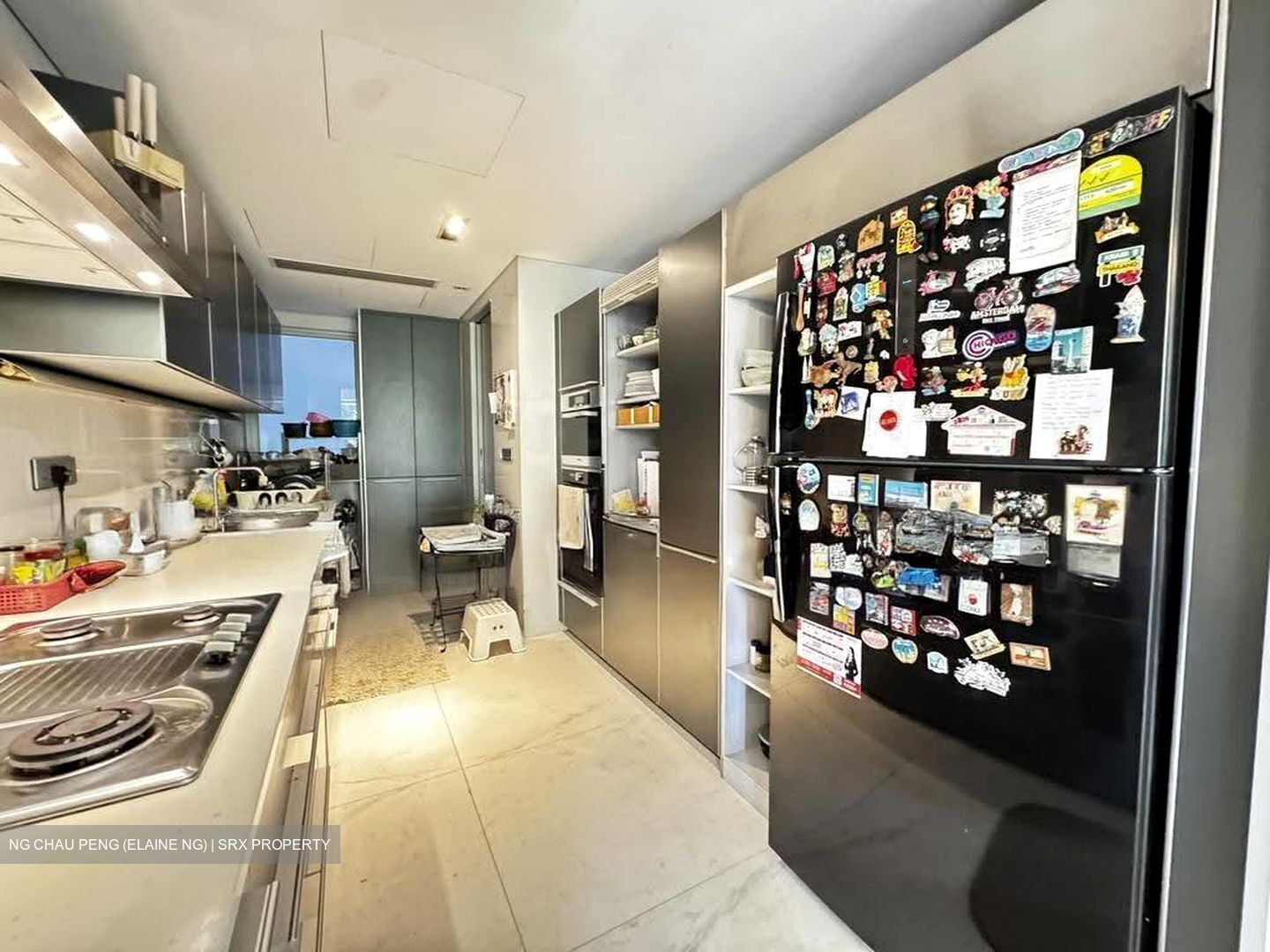 St. Regis Residences (D10), Apartment #613690291